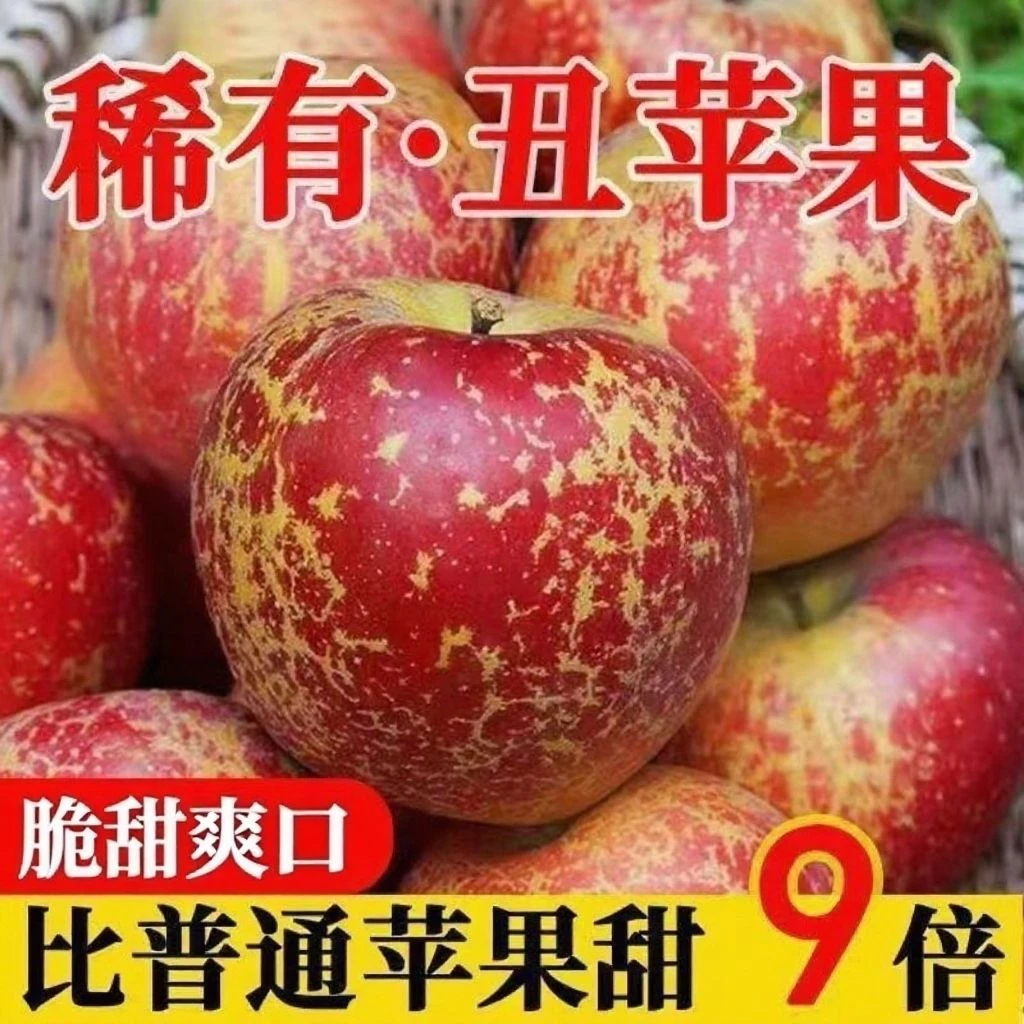 【产地直发】四川大凉山盐源正宗丑苹果新鲜现摘脆甜多汁营养丰富fh