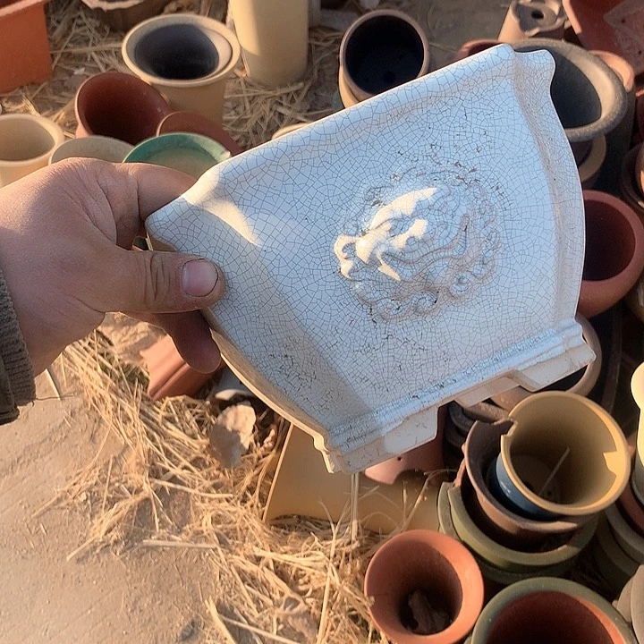 紫砂哈哈好开心哦？淘宝