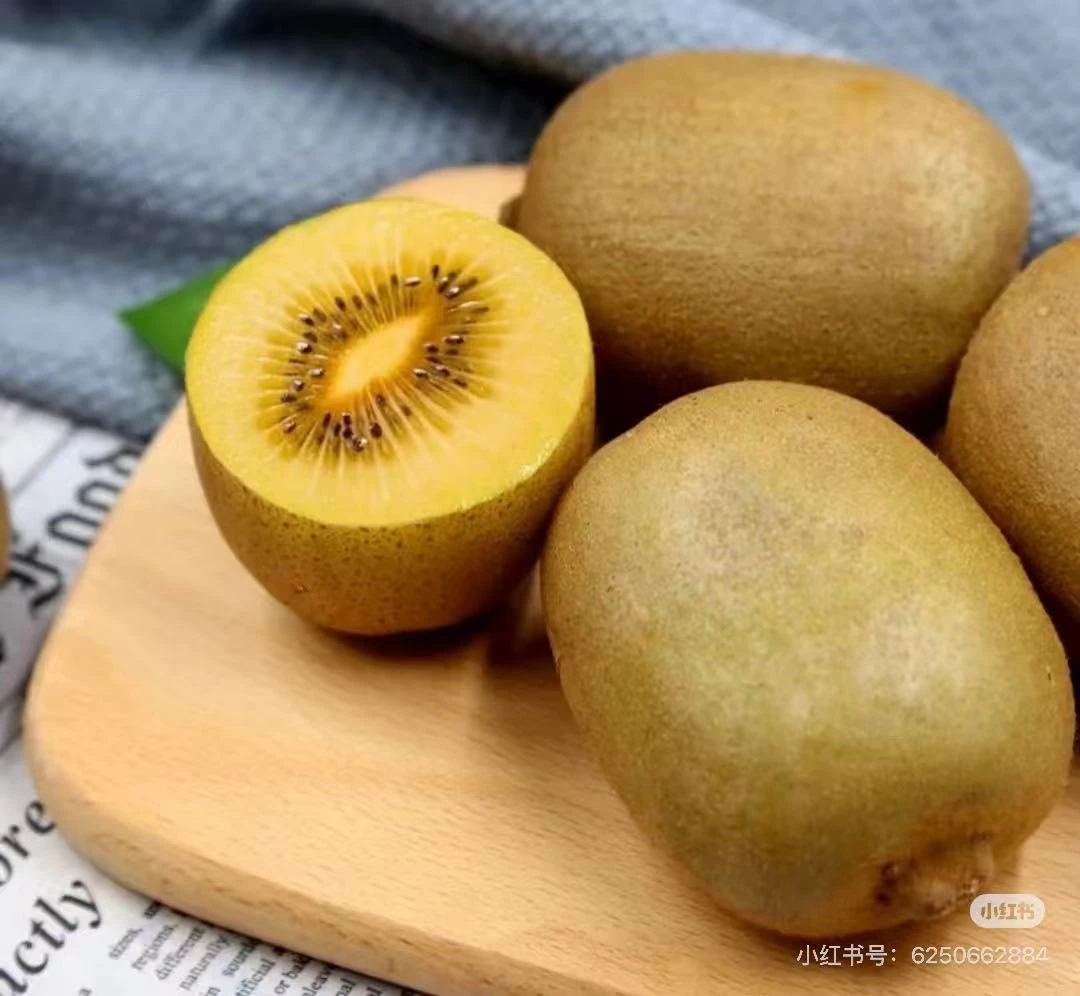 【达吾福利】黄心猕猴桃15枚装
