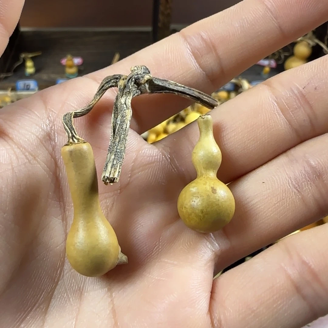 天然草里金小葫芦