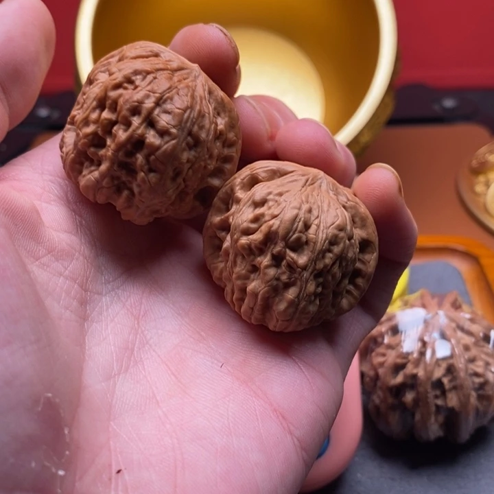 D***p平古凹底两棱核桃