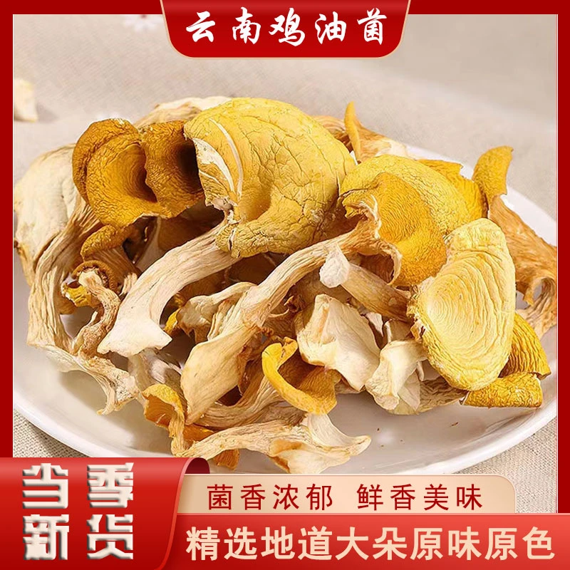 云南特产鸡油菌干货菇营养美味炖汤炒菜