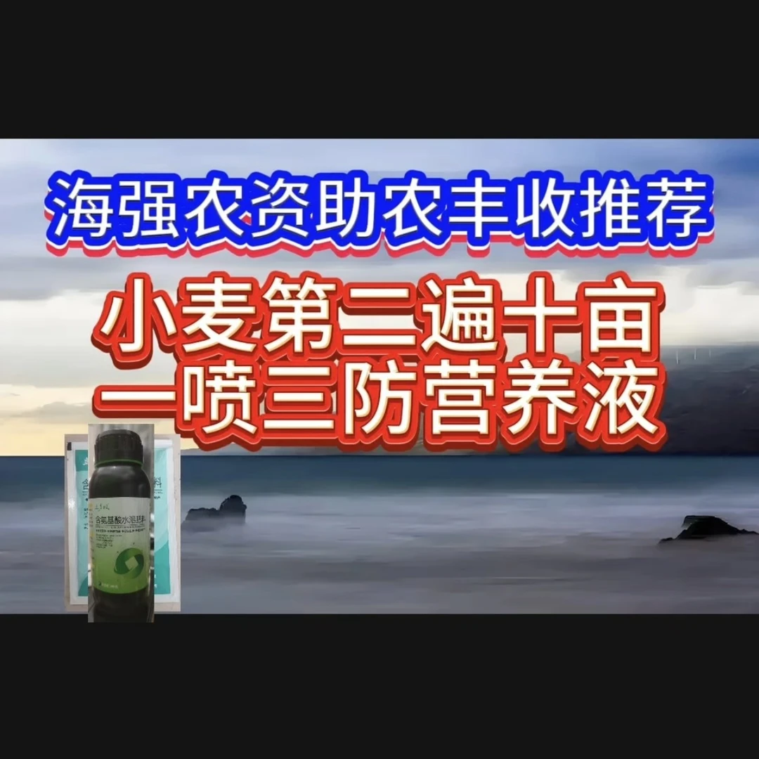 小麦第二遍十亩一喷三防营养液
