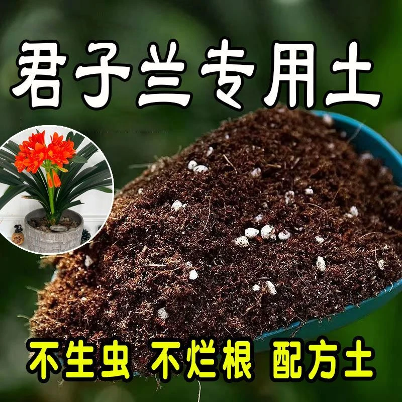 君子兰专用通用型花盆栽种种植土壤营养土