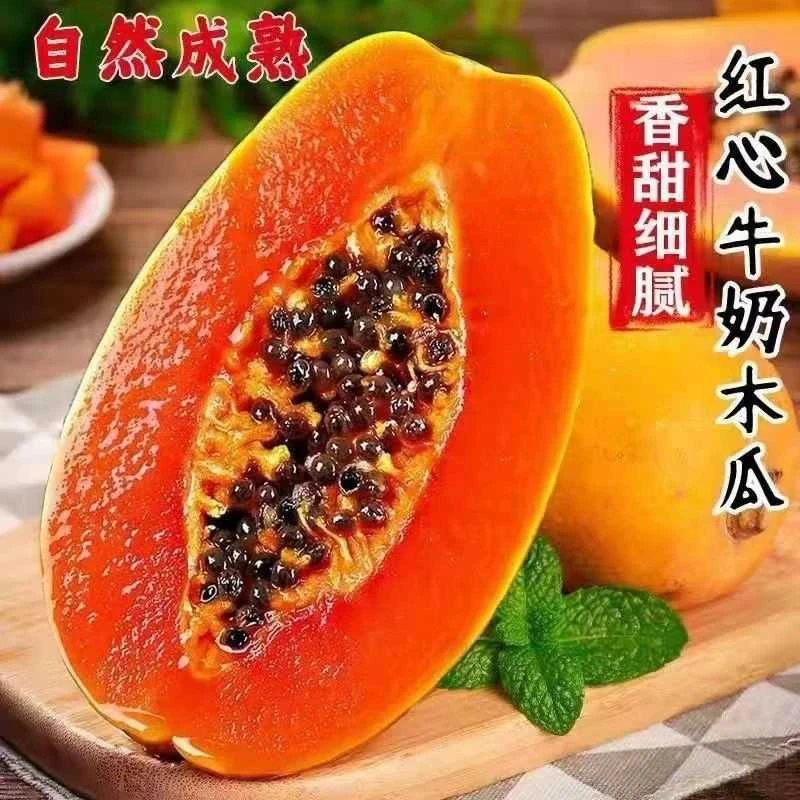 【顺丰包邮】海南红心木瓜树上熟牛奶木瓜当季新鲜孕妇水果香清甜香