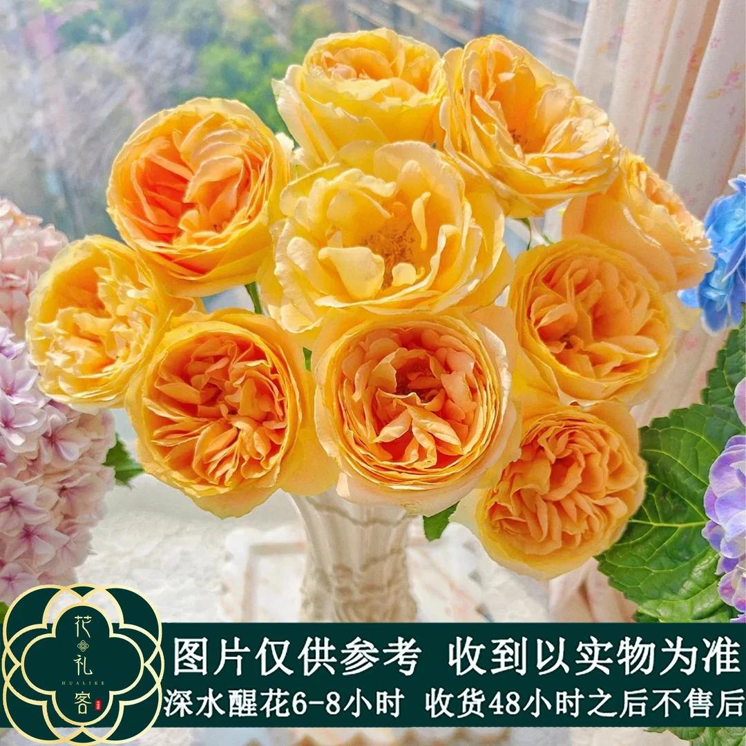 七叶花坊# 【醉月】鲜花优选 顺丰直发