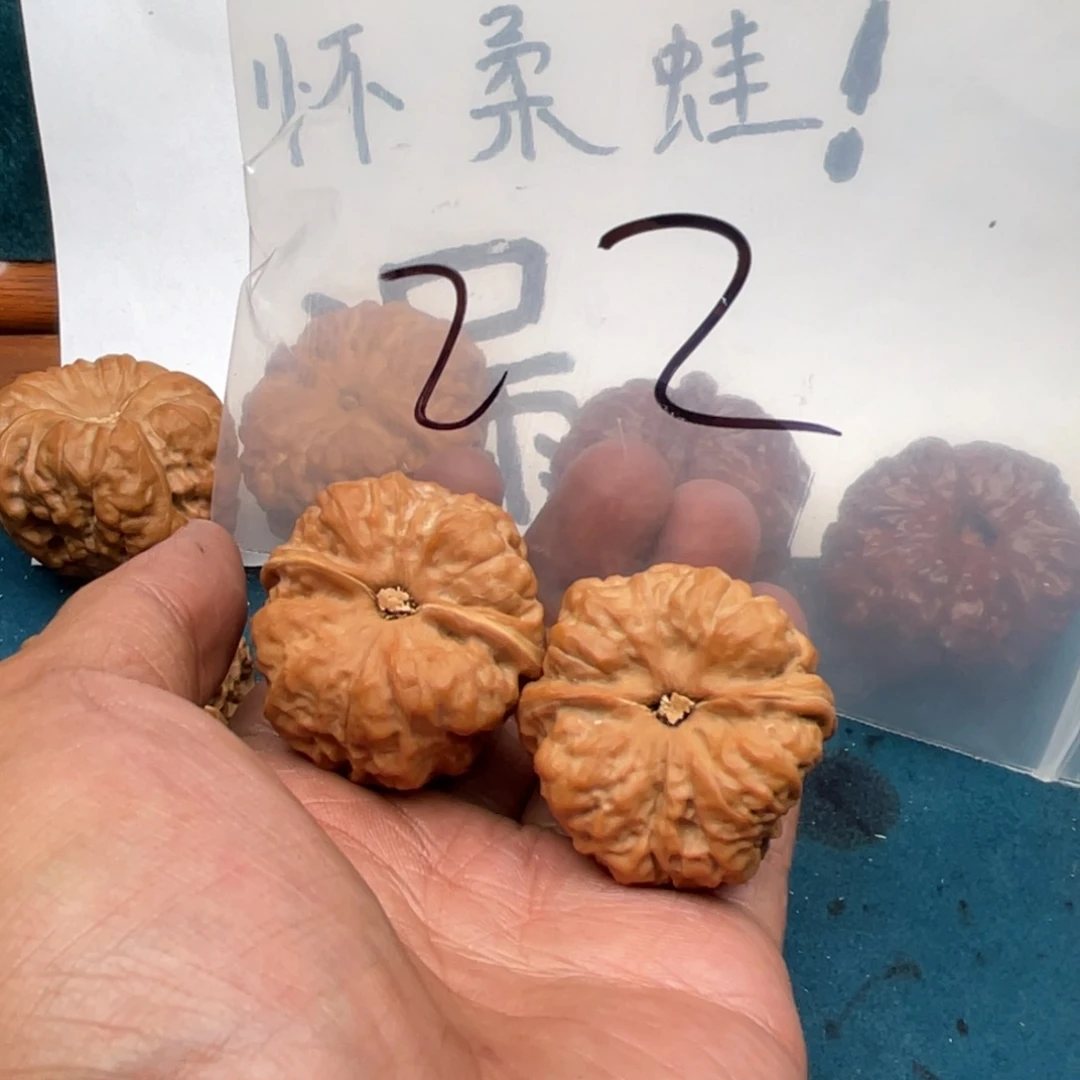 核桃974794479794749974749947
