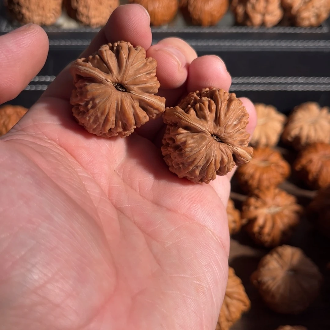 手串/手链核桃红*鱼35全品四座楼