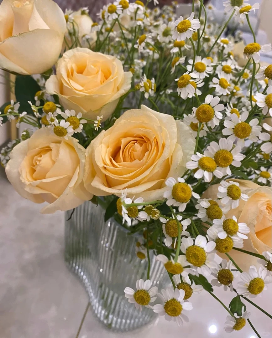 【香槟花束】香槟10枝+洋甘菊+黄莺草，云南鲜花昆明源头基地直发