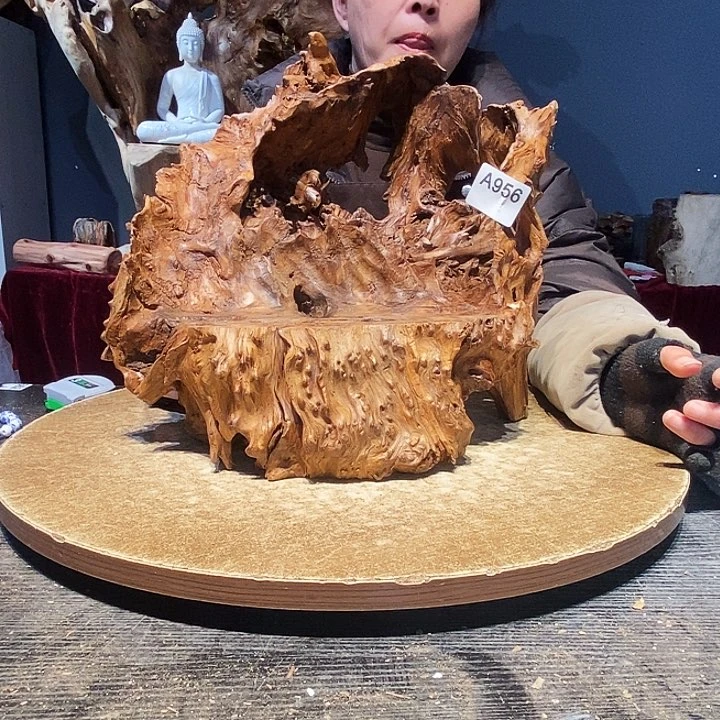 宣****茶956株木随行的根艺的