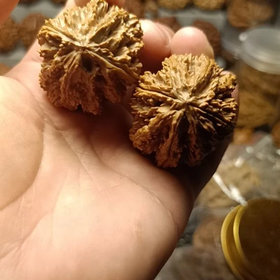 文玩核桃吊坠大楸子核桃7号