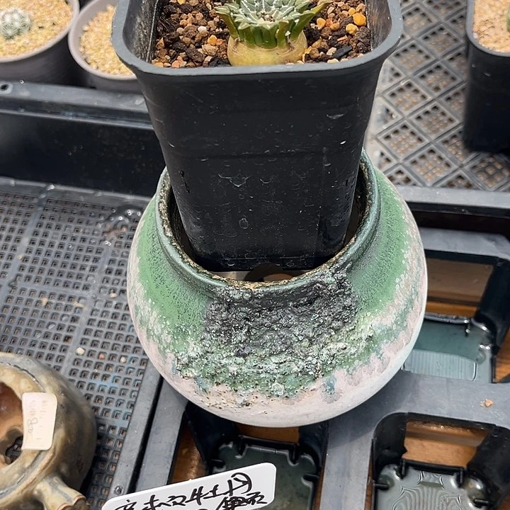 紫砂花盆臭****YQ001已配已配