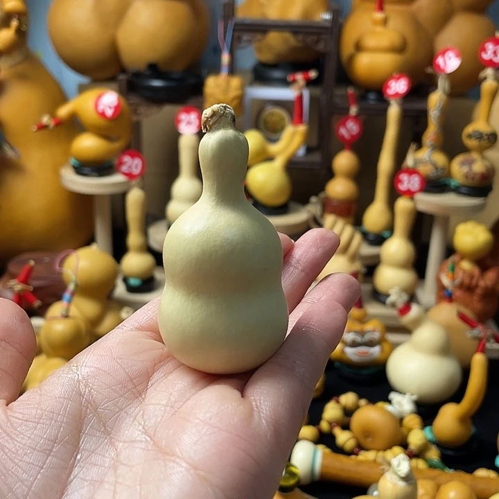 风***者葫芦岛市委组织部副部长会议