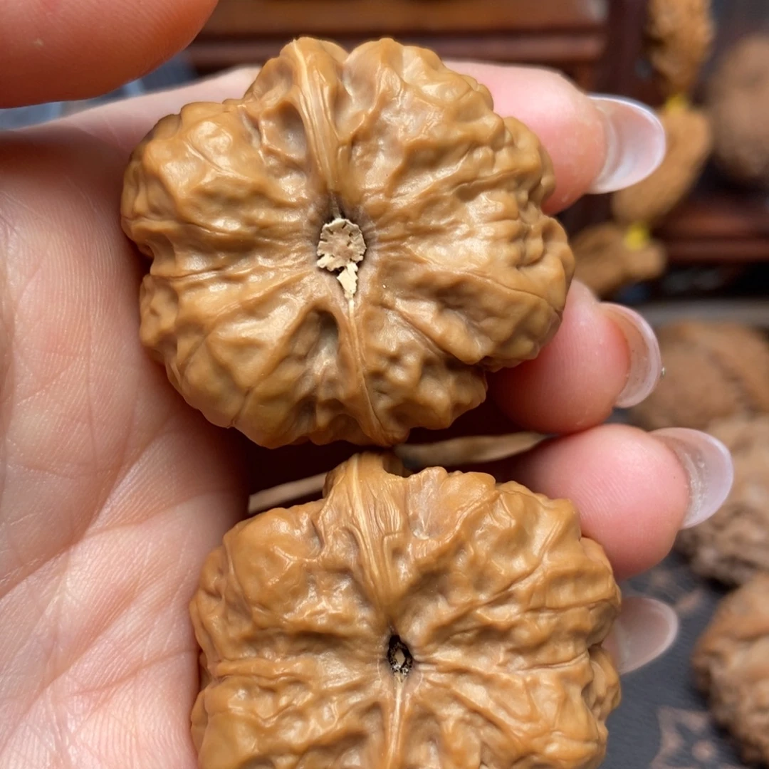 大叶紫檀（黑酸枝木类）招财金蟾