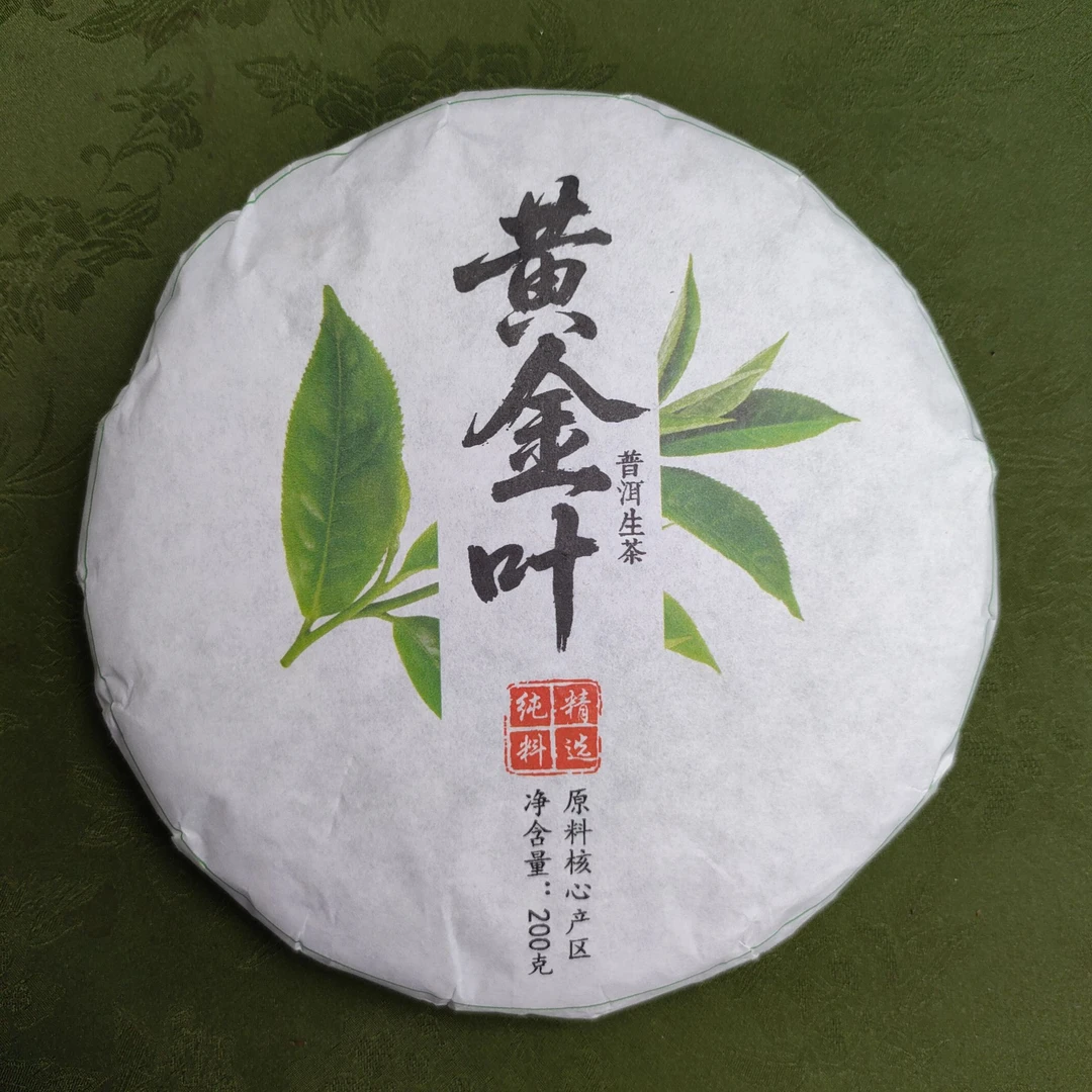 2025年 豆腐寨 古树黄金叶 紧压茶 生茶【226】9-16 通用