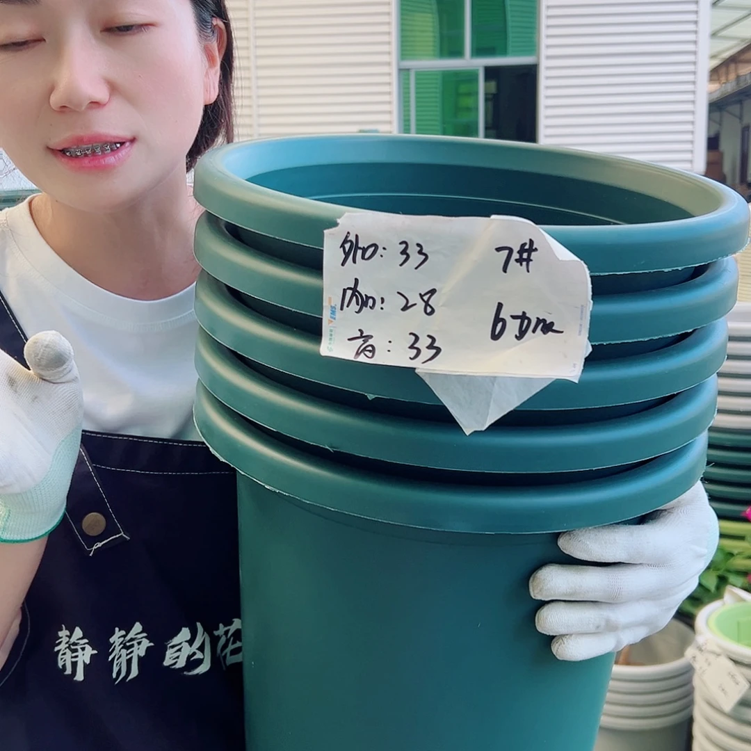 四季盆7墨绿4个无托