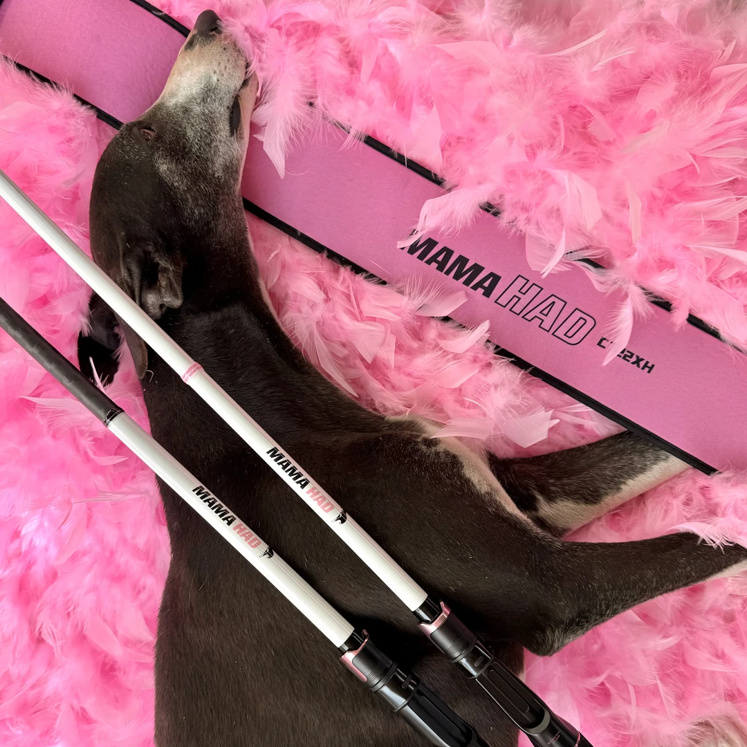 大鬼马头纪念版雷强竿粉白珍珠漆免费配节一次