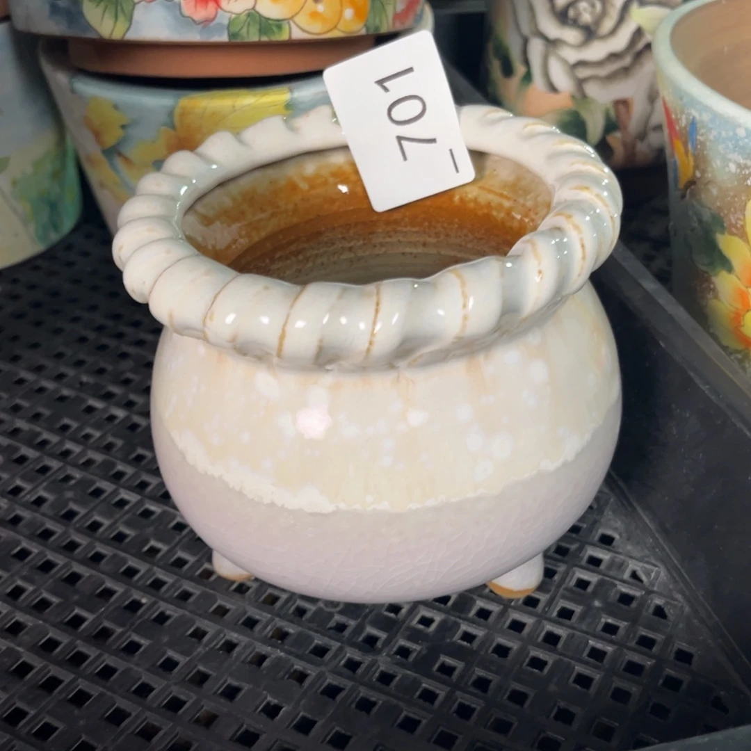 L***吖701多肉花盆   1个