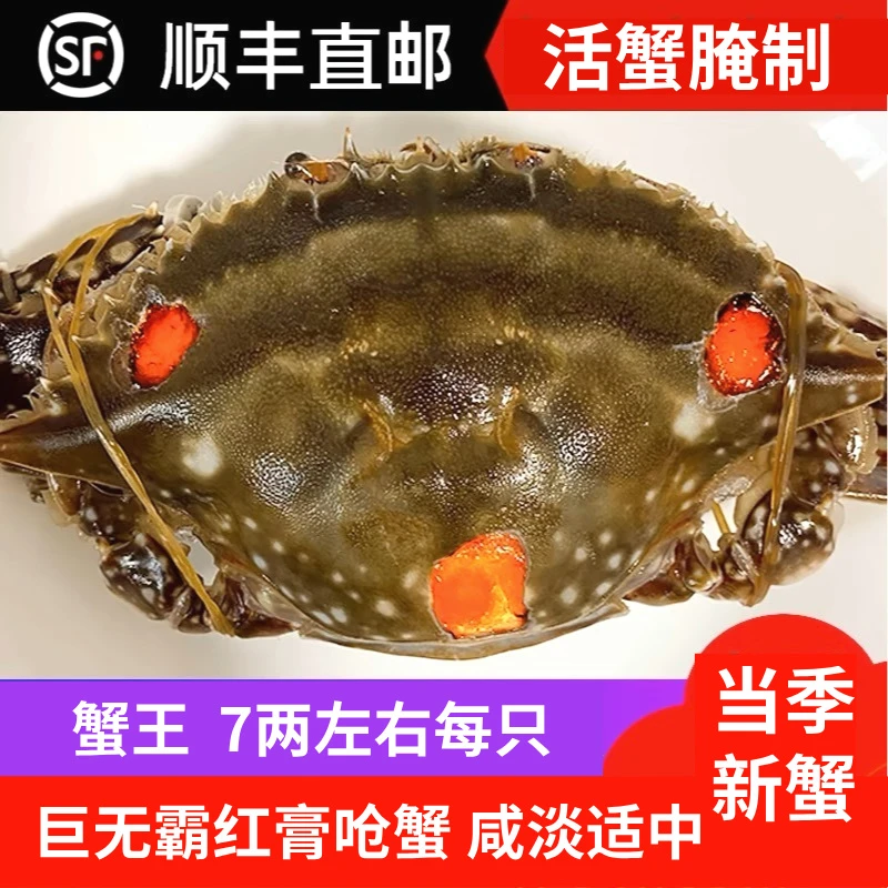 【蟹王红膏】舟山巨无霸精品红膏呛蟹7两左右/只 咸蟹 生吃不可蒸煮