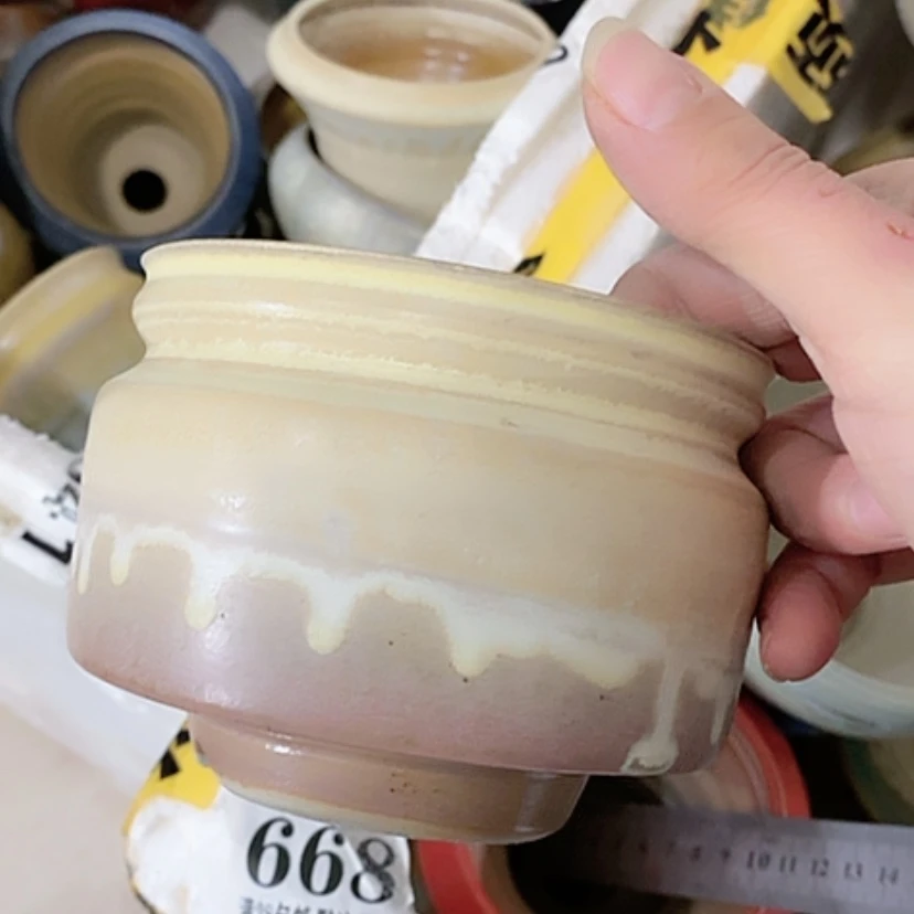 【闪购商品】红陶口9.8