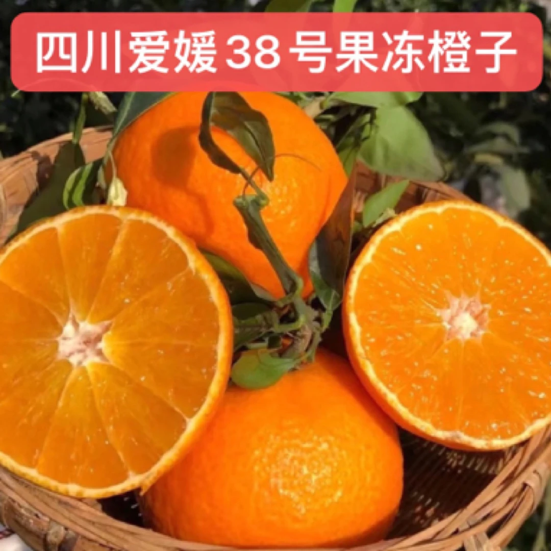 四川爱媛38号果冻橙当季水果现摘清甜爆汁手剥橙子4.5斤8斤包邮
