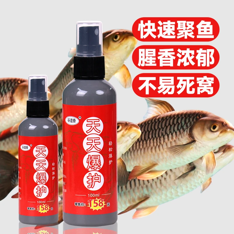 小金主播同款鱼上岸天天爆护