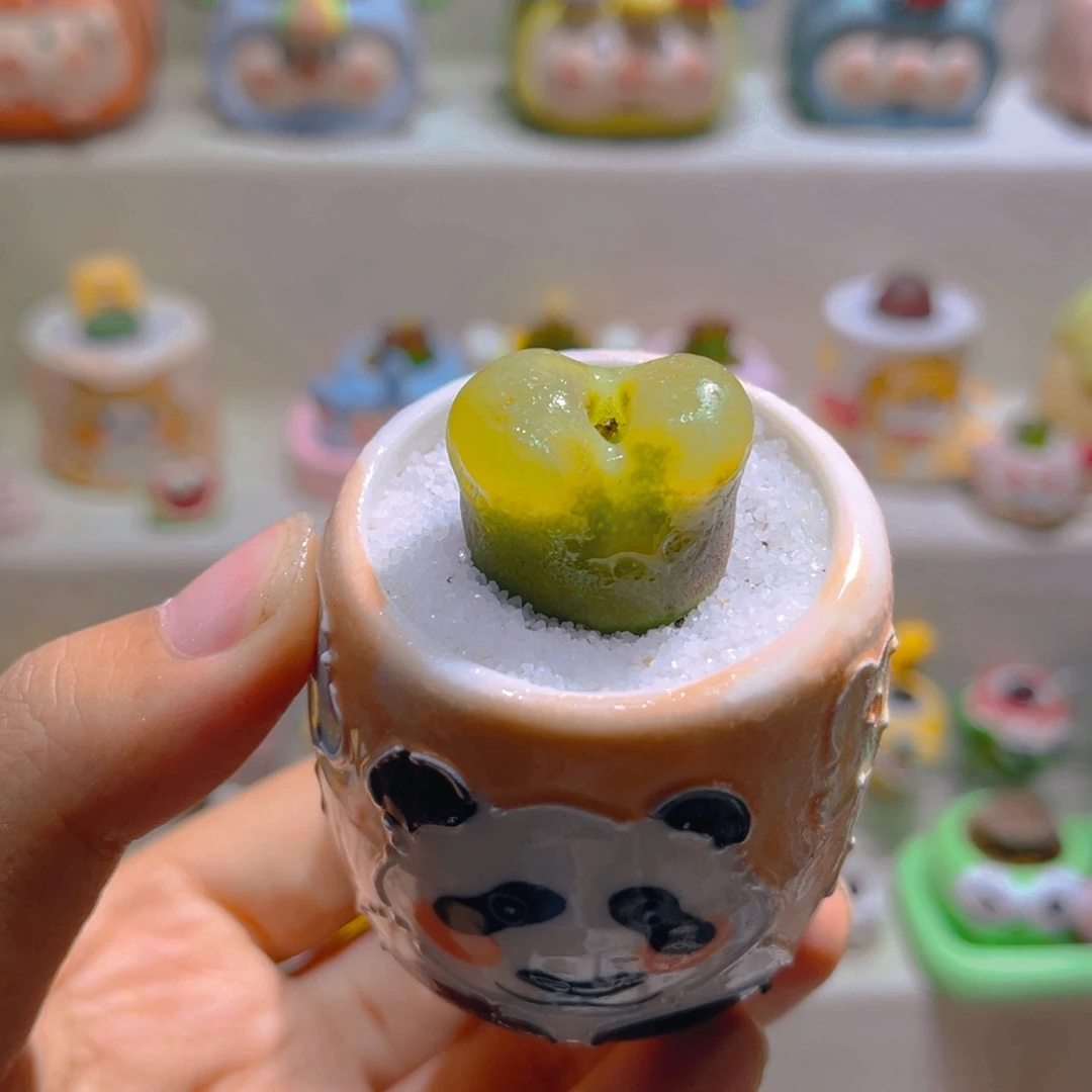 011高端多肉带盆土一套38