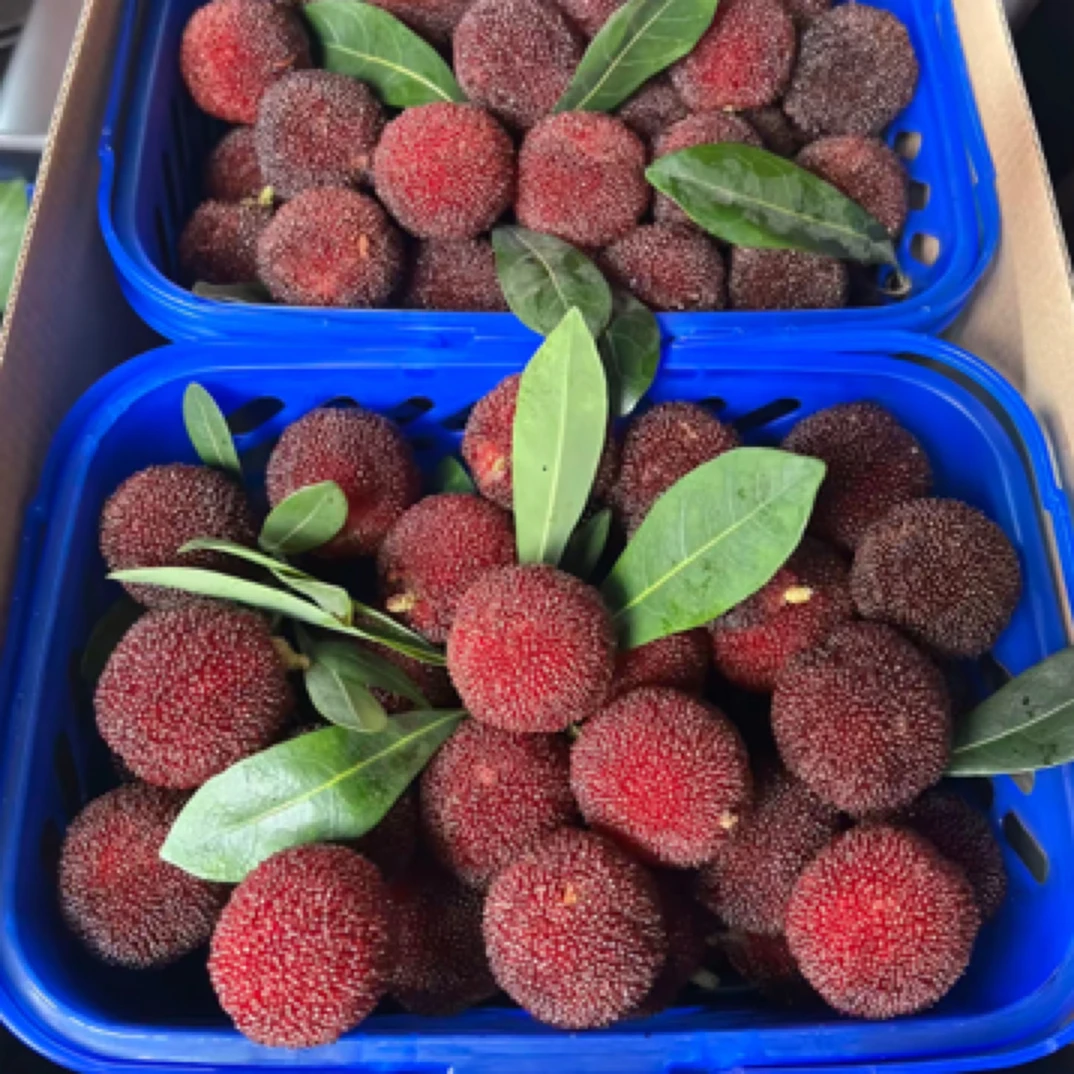 （易成甄选）正宗仙居东魁杨梅高山杨梅颗粒装现摘现发应季水果酸甜