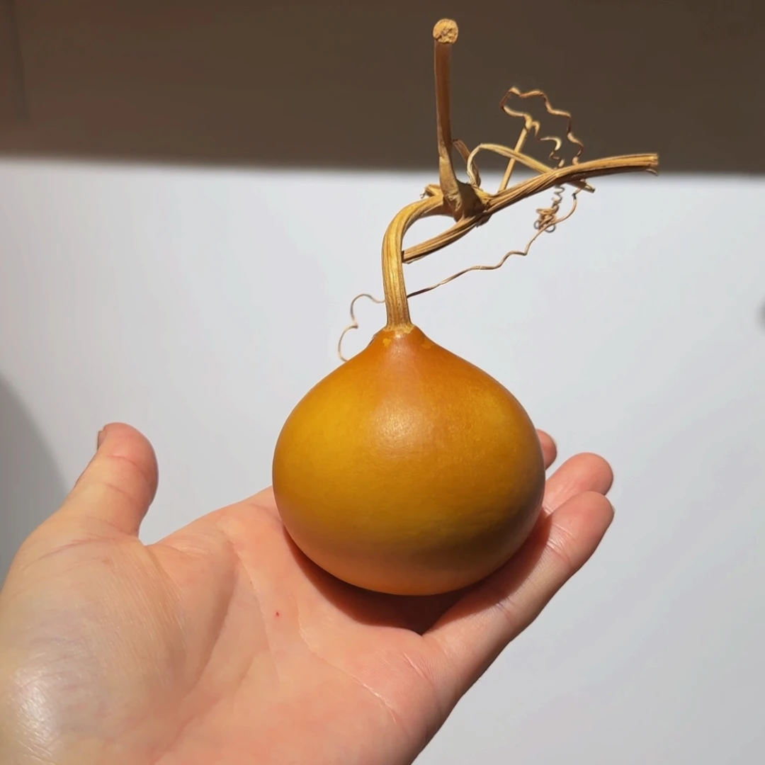 壹品葫芦美学空间