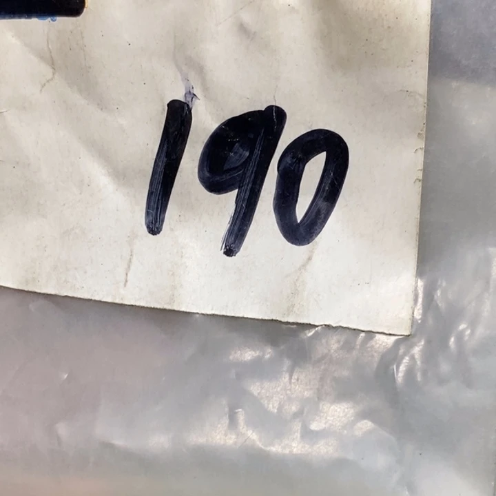 吊坠龙脊菩提太***学