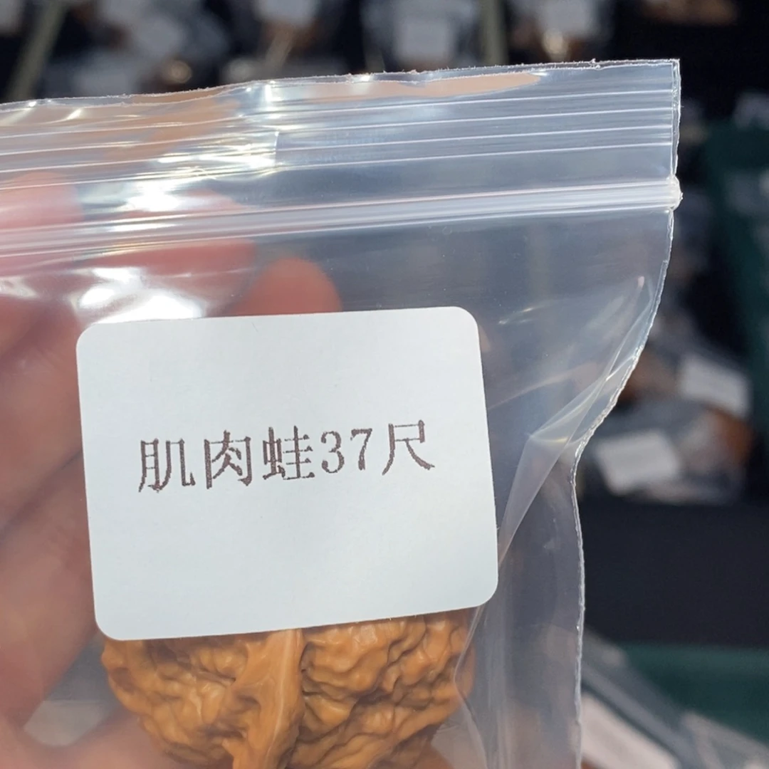 吊坠文玩核桃37肌肉蛙10