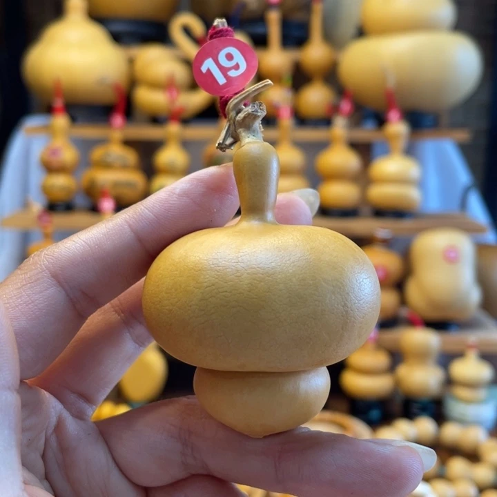 ?***草天然葫芦自然生长