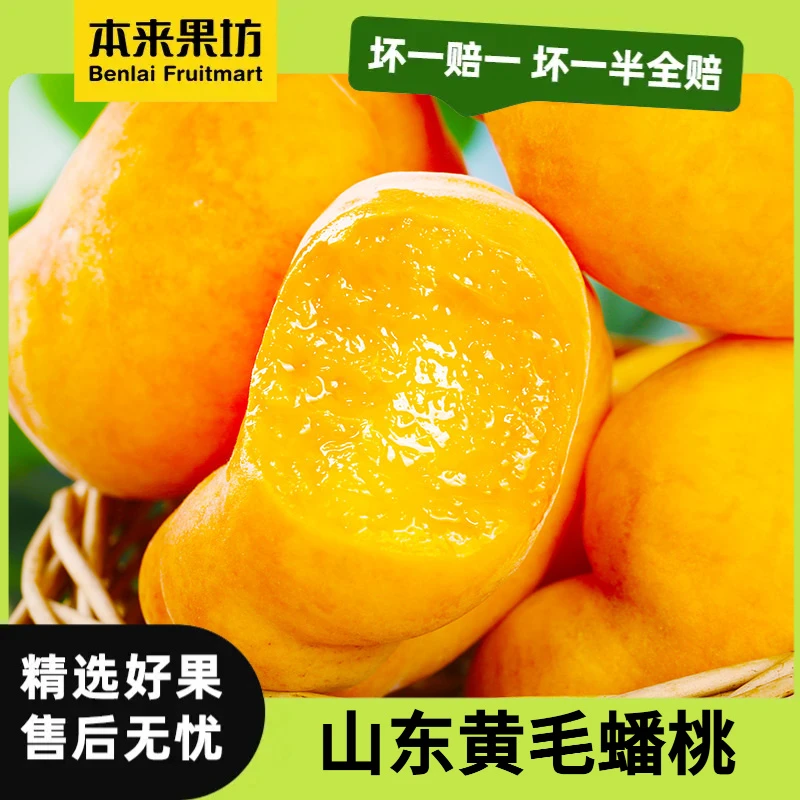 【毛毛姐专属】山东黄毛蟠桃 桃子毛桃 现摘现发 包邮到家 个头饱满