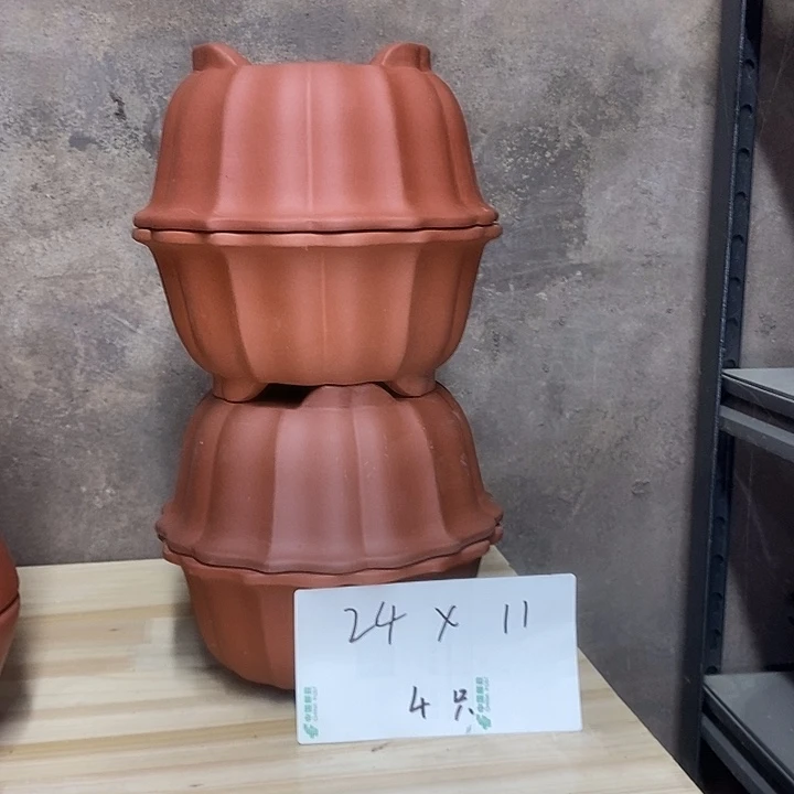 紫砂花盆我在外面