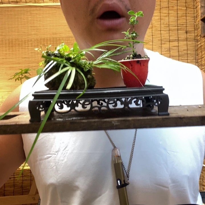 放****开一物一拍所见即所得120