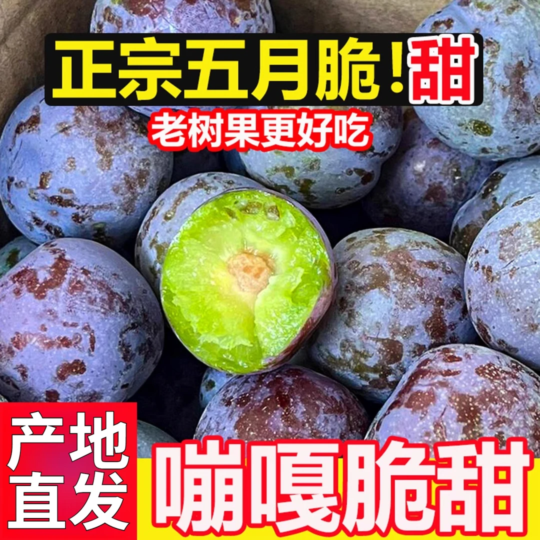 【新鲜现摘】正宗四川五月脆脱骨李新鲜应季水果脆甜多汁脱骨李