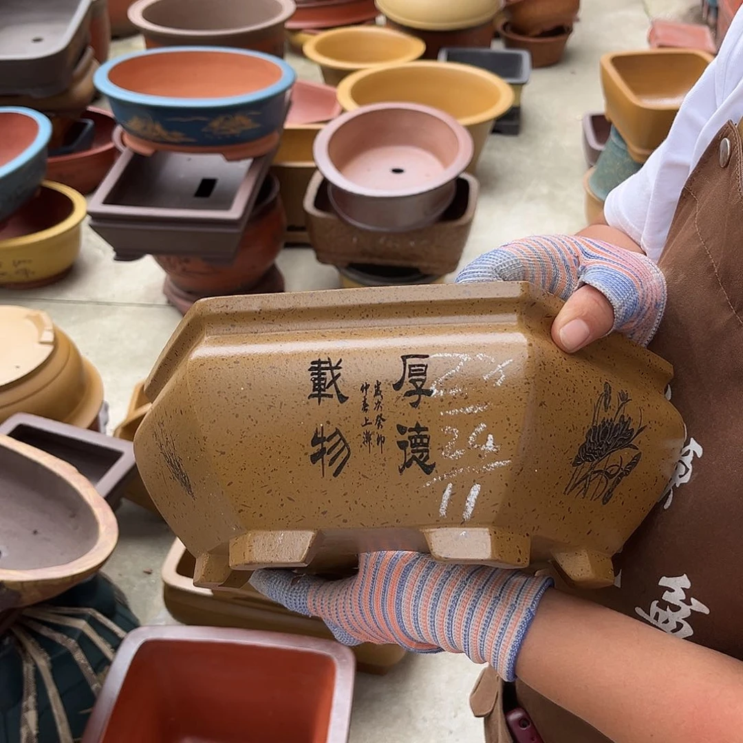 紫砂花盆盆景艺术