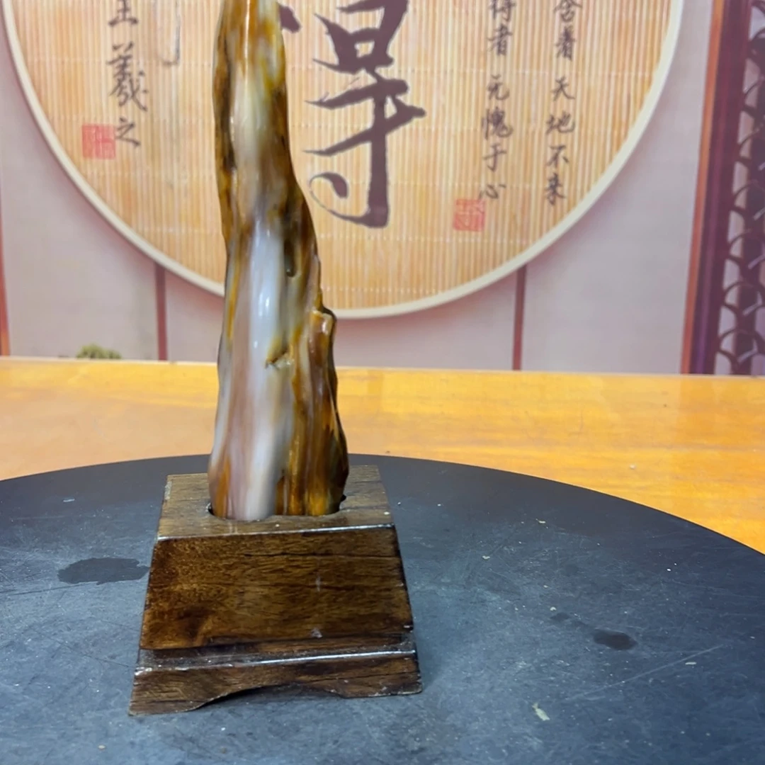 硅化玉（树化玉）未镶嵌摆件