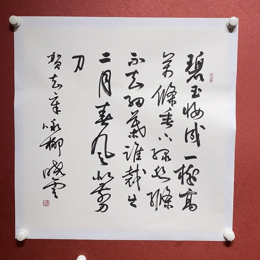 书法碧玉直播大漏
