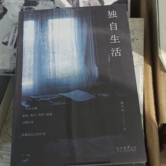 独木舟写的一本书，独自生活塑封。