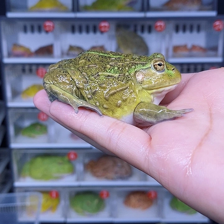 特价秒杀原价多少