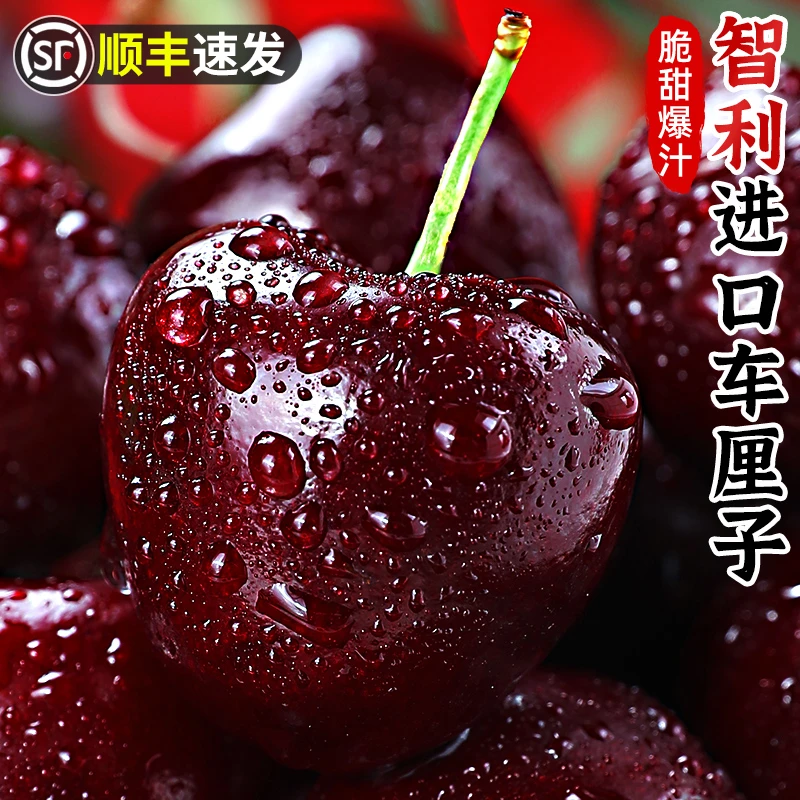 【出鲜D】智利新鲜车厘子1J-4J/5斤海运顺丰包邮拉宾斯 内附果径卡