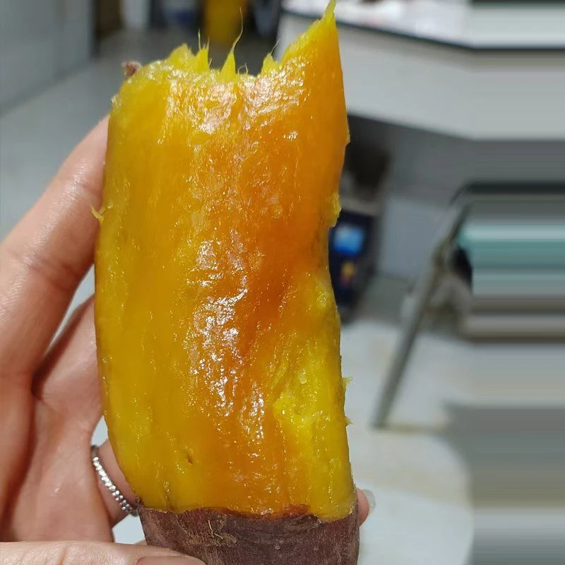 康平地瓜玛莎莉糖心蜜薯软糯流油香甜番薯