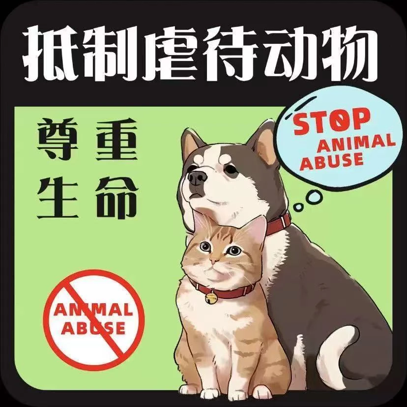 保护动物系列磁性车贴定制呼吁关爱流浪动物反光车贴电动车装饰贴