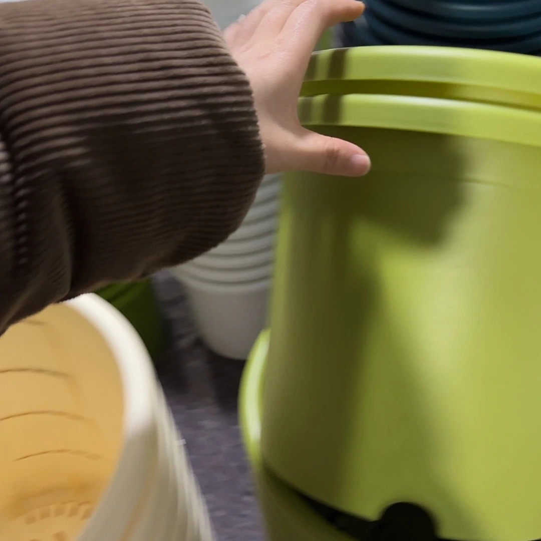 树脂四季5号无托6个，果绿