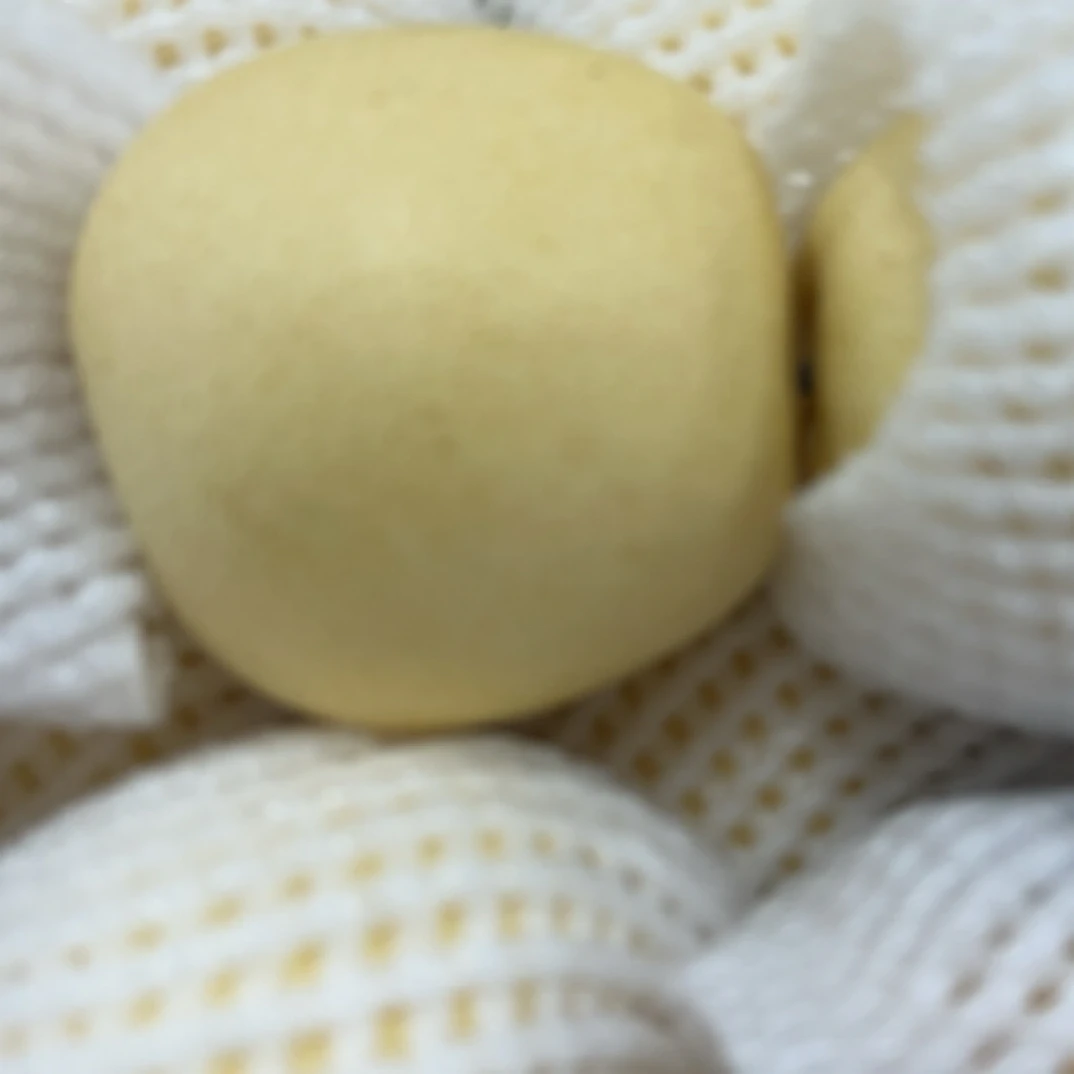 实惠装皇冠梨一袋（5斤左右）