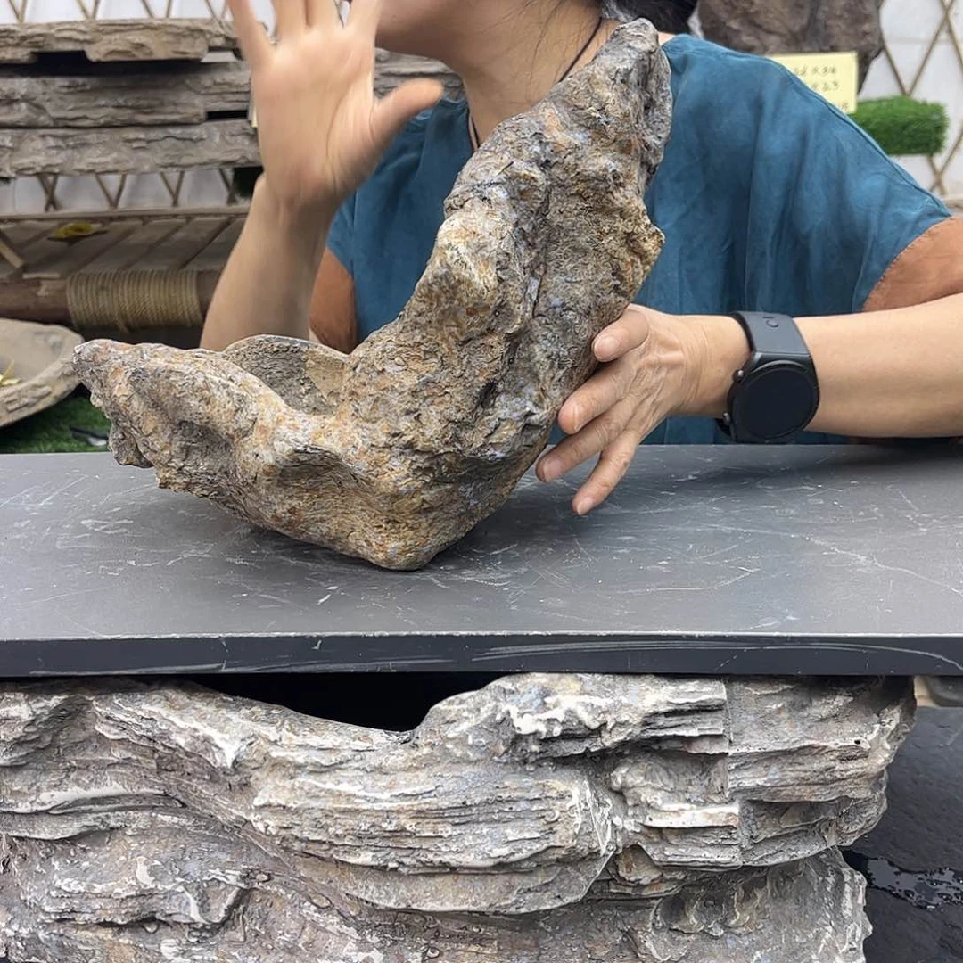 盆景盆盆景盆P2-006