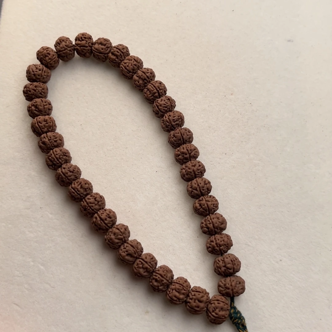 手串金刚菩提老树王福利款卡10+