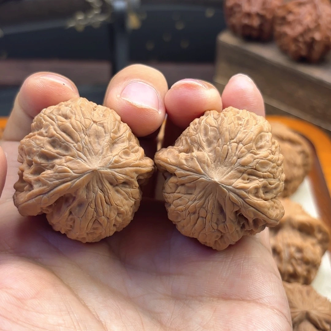 文玩核桃把件38龙龟铁锤