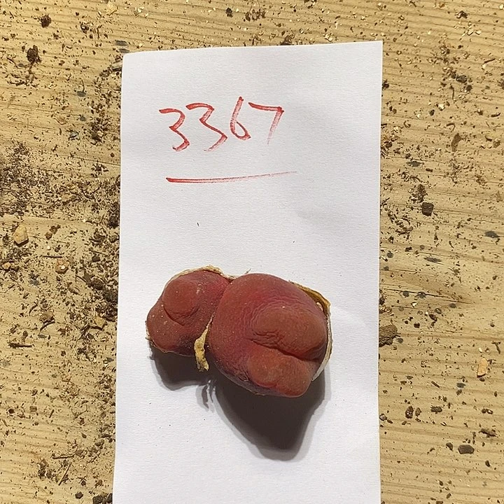 山**往3367。